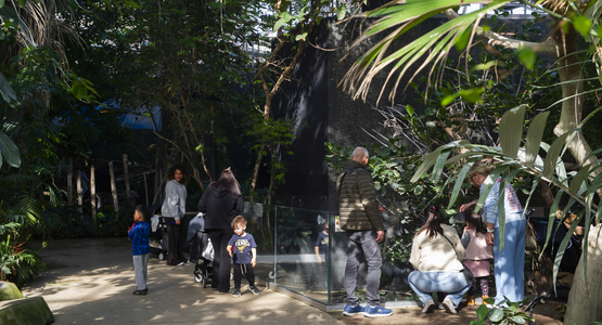 parc zoologique de Paris © Sébastien Champeaux