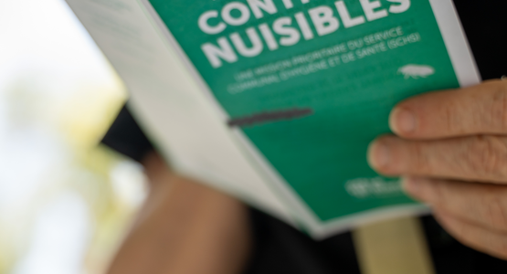 Lutte contre les nuisibles @ Vincent Coutin