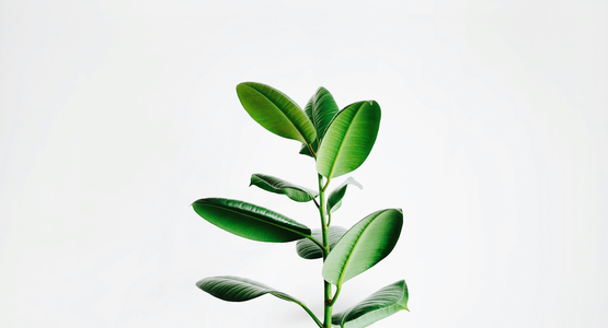 © Igor Son, unsplash